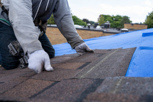 Best Roof Leak Repair  in Fort Lee, VA
